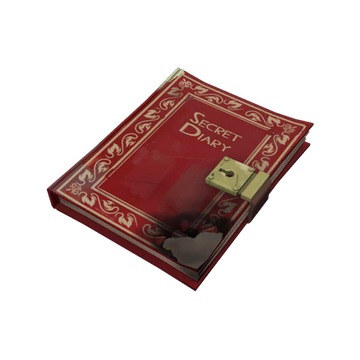 Fireproof Secret Diary