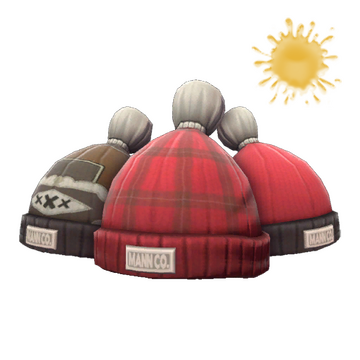 Unusual Boarder's Beanie