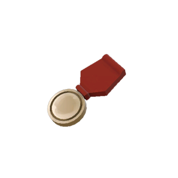 Vintage Gentle Manne's Service Medal