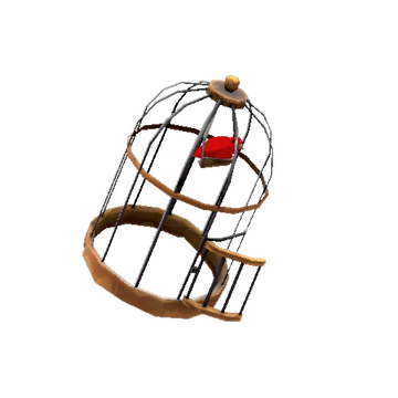 Strange Unusual Birdcage
